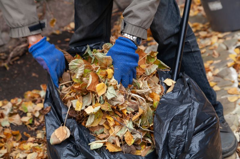 Leaf Collection Bins