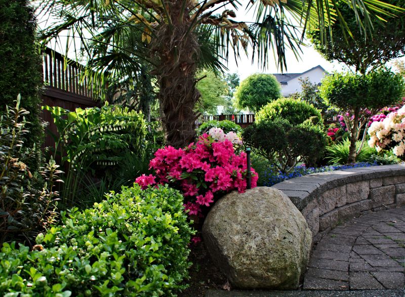 Post-Transplant Support